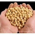 Kabuli Chickpeas with Low Price